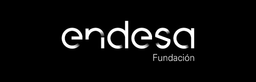 Fundacion Endesa